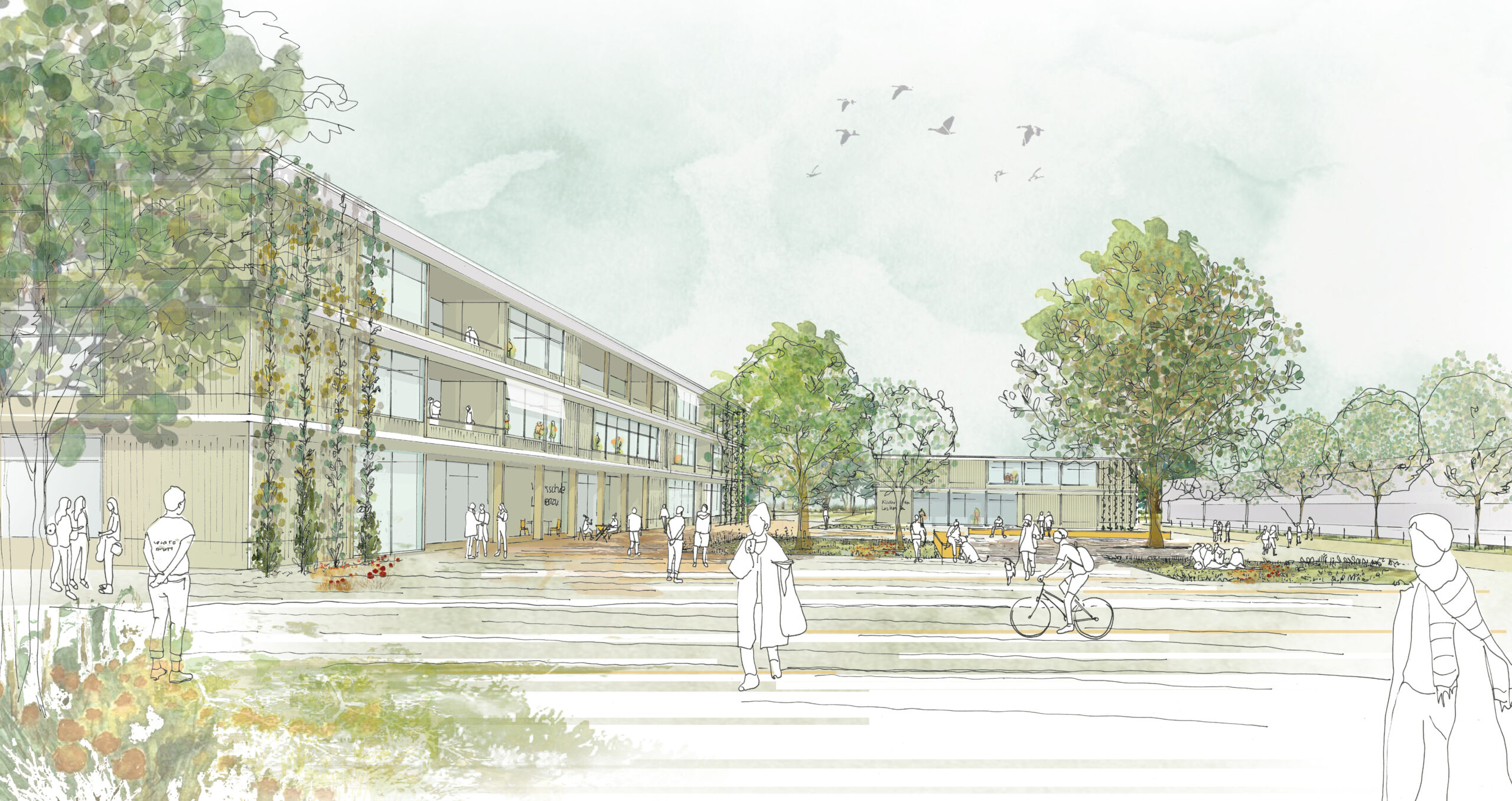 Lustenau Campus Muehlefeld Layout_S1__